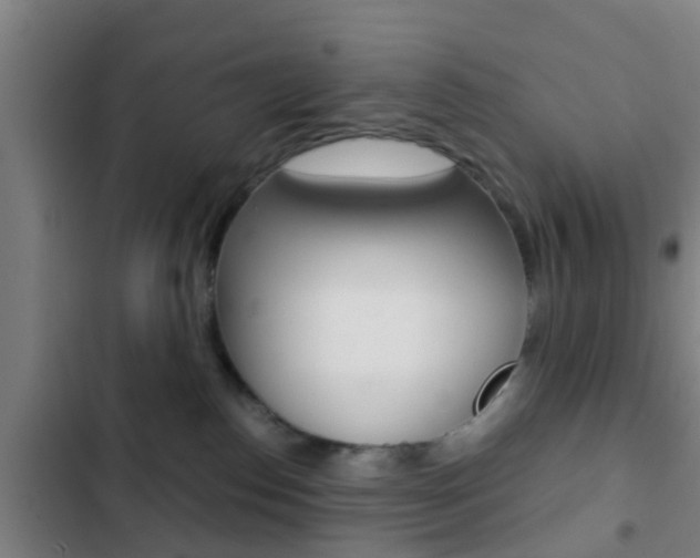 X0000103220186200808280934