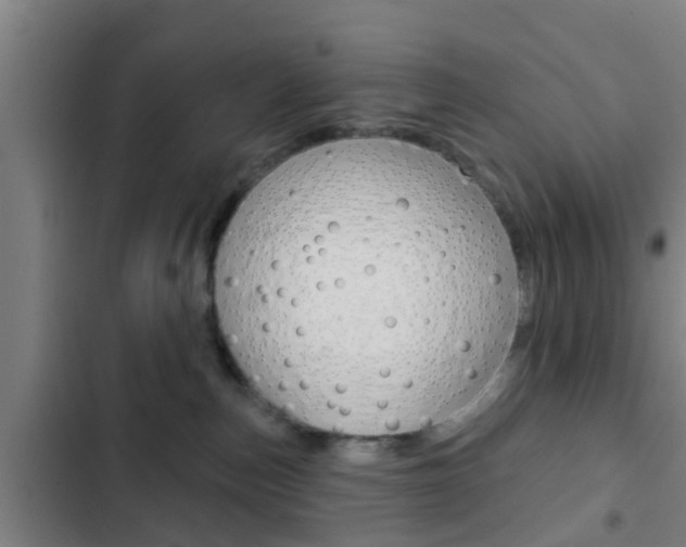 X0000103220187200808280934