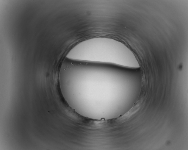 X0000103220188200808280934