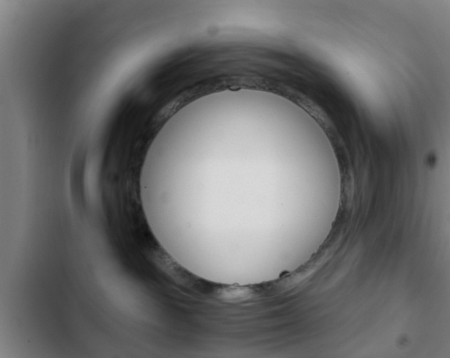 X0000103220189200808280934