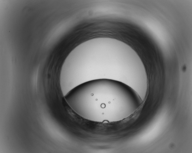 X0000103220190200808280934