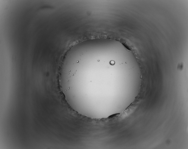 X0000103220192200808280934