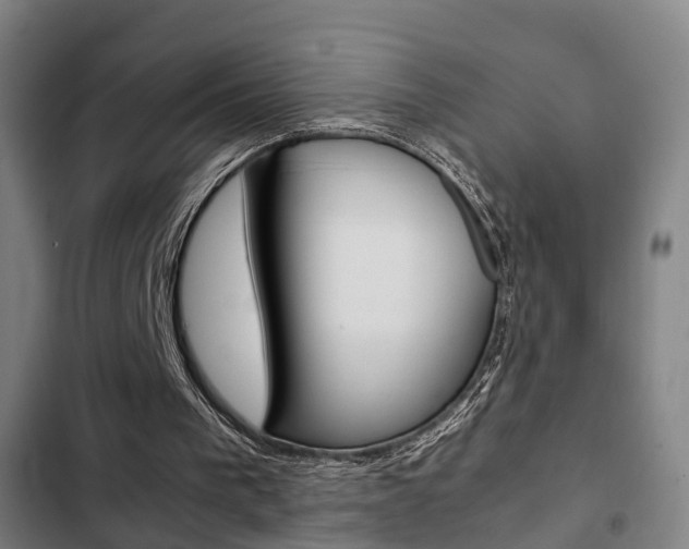 X0000103220193200808280934