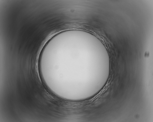 X0000103220195200808280934
