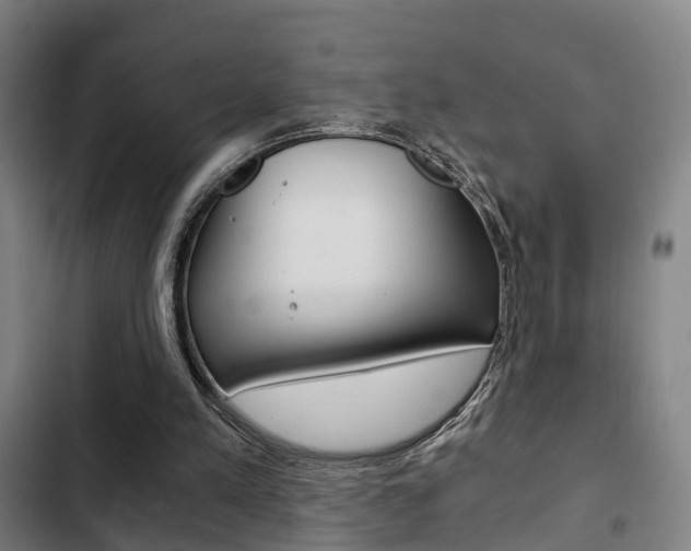 X0000103220197200808280934