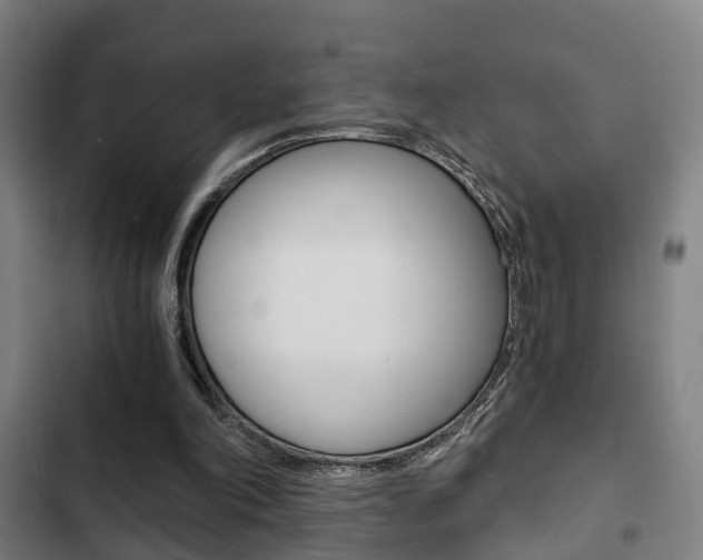 X0000103220198200808280934