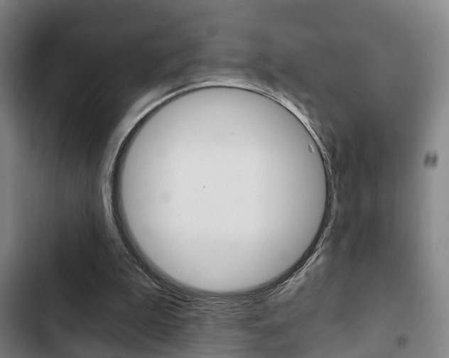 X0000103220199200808280934