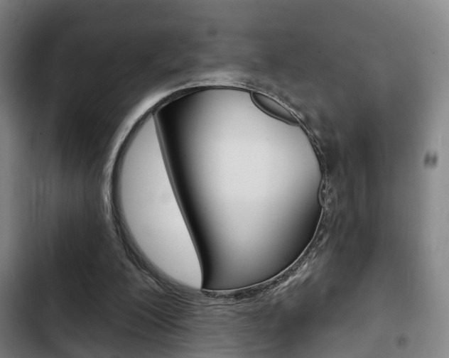 X0000103220200200808280934