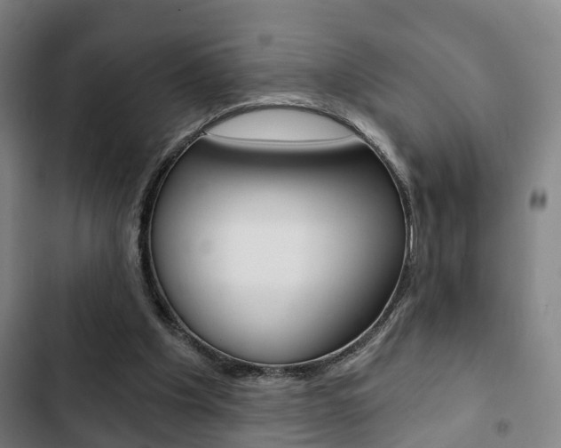 X0000103220201200808280934