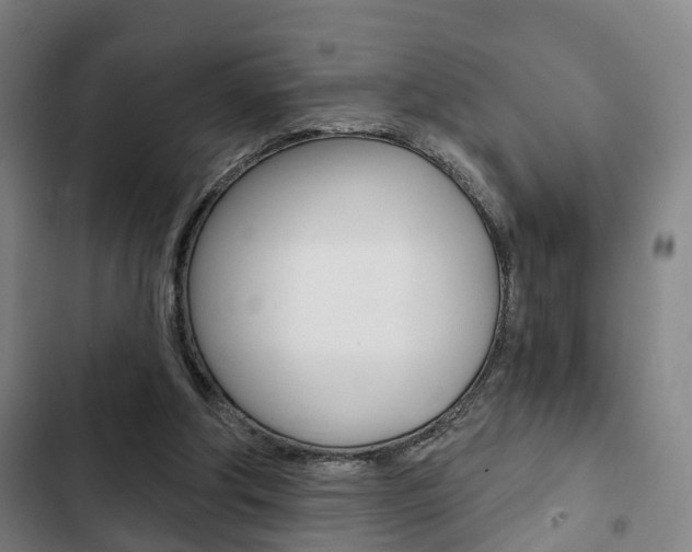 X0000103220202200808280934
