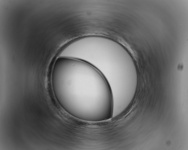 X0000103220203200808280934