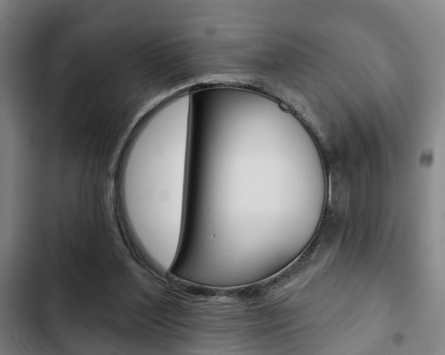 X0000103220204200808280934