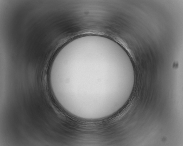 X0000103220205200808280934