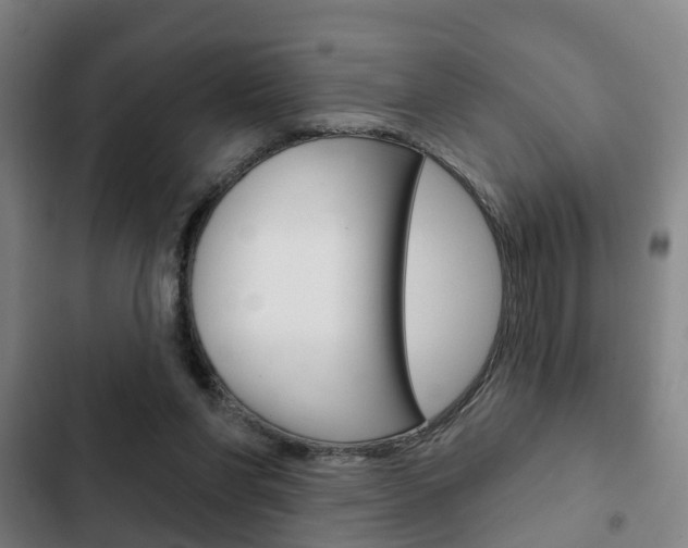 X0000103220206200808280934