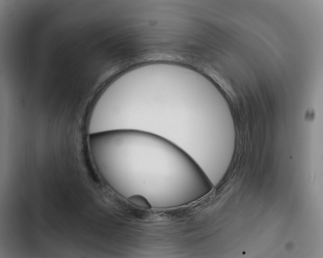 X0000103220207200808280934