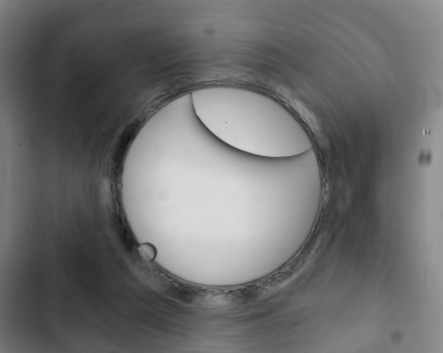 X0000103220209200808280934