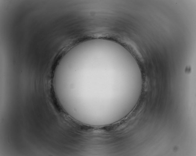 X0000103220210200808280934