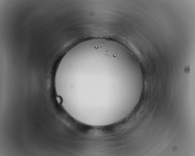 X0000103220211200808280934