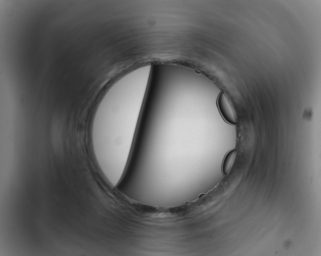 X0000103220212200808280934