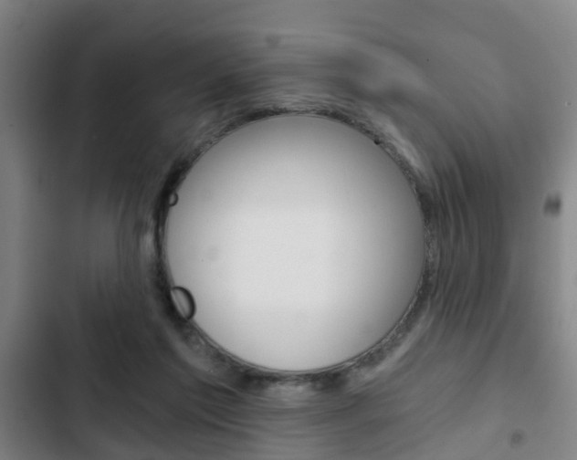 X0000103220213200808280934