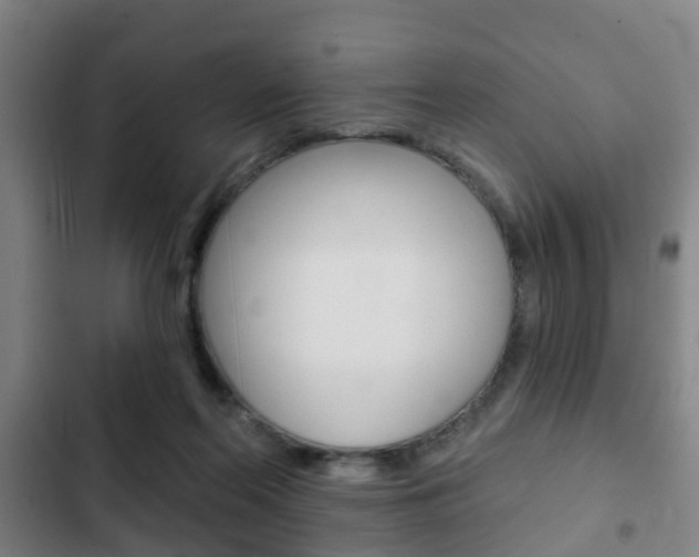 X0000103220214200808280934