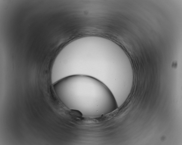 X0000103220215200808280933