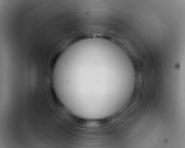 X0000103220218200808280933