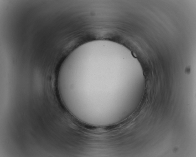 X0000103220219200808280933