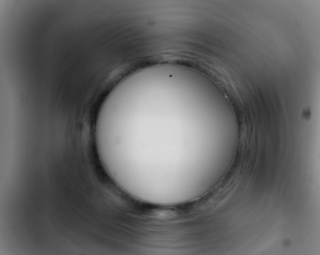 X0000103220220200808280933