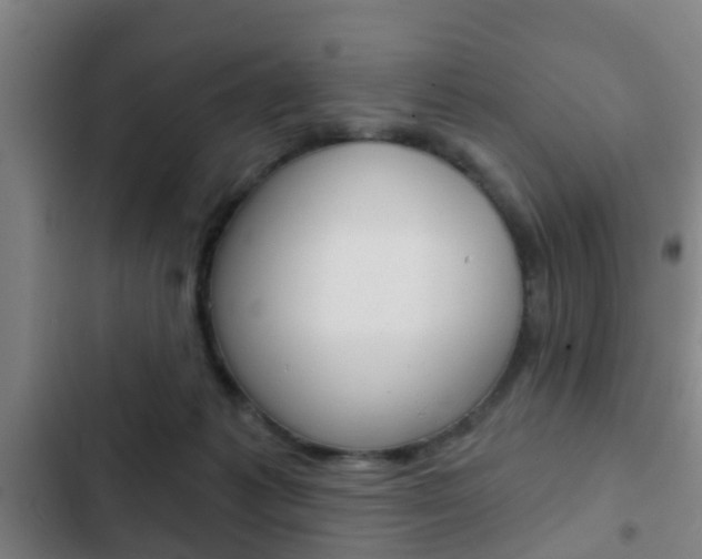 X0000103220221200808280933
