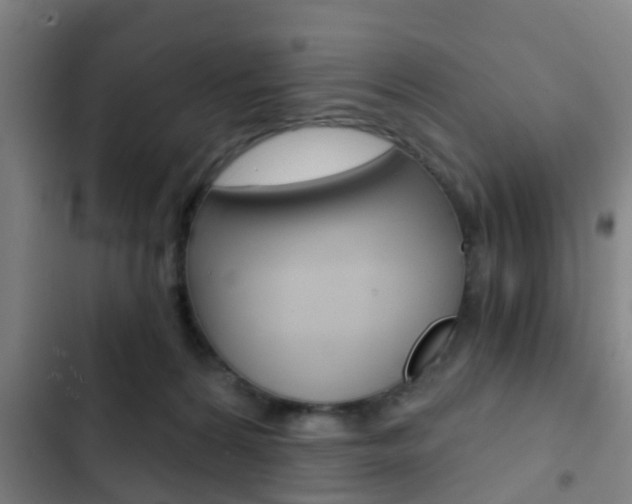 X0000103220224200808280933