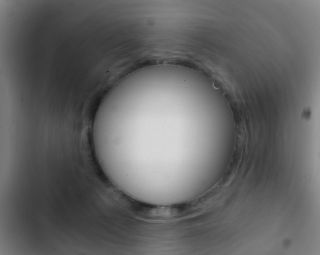 X0000103220225200808280933