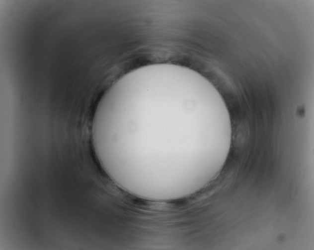 X0000103220226200808280933
