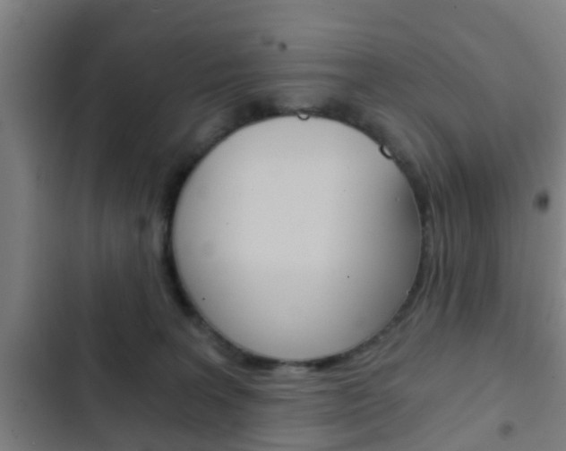 X0000103220227200808280933