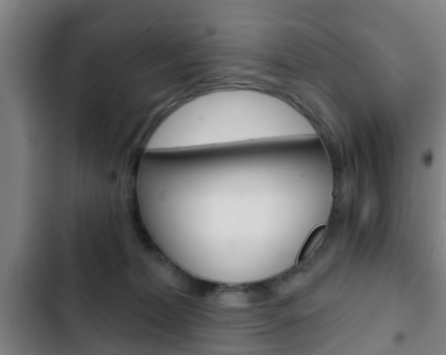 X0000103220228200808280933