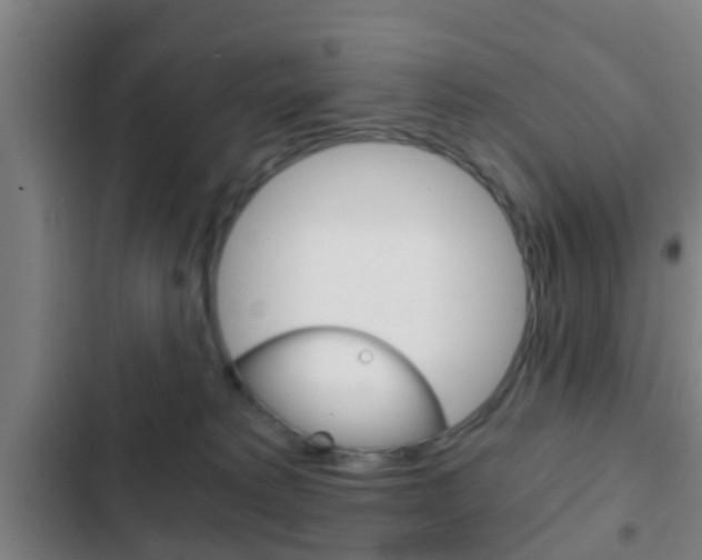 X0000103220229200808280933
