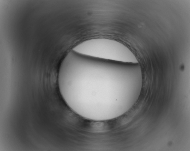 X0000103220230200808280933