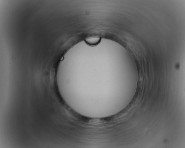 X0000103220231200808280933