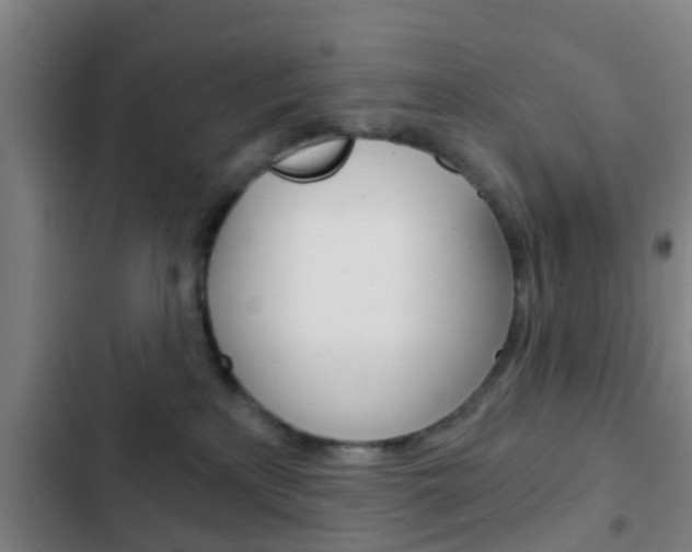 X0000103220233200808280933