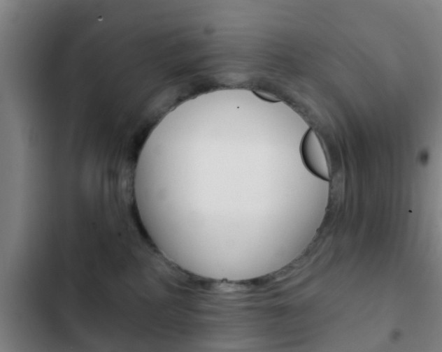 X0000103220234200808280933