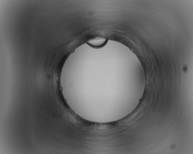 X0000103220235200808280933