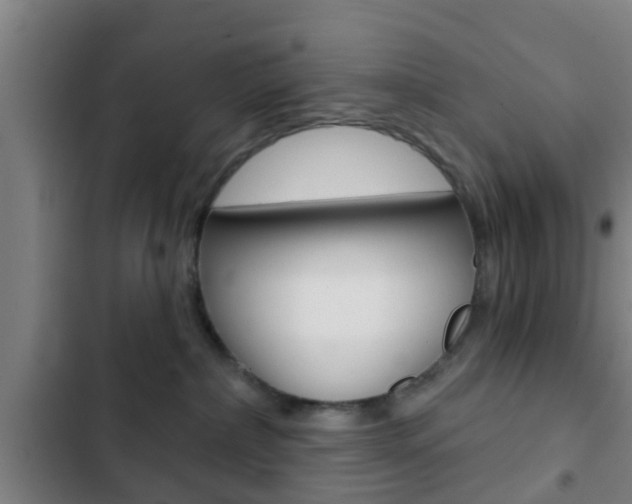 X0000103220236200808280933