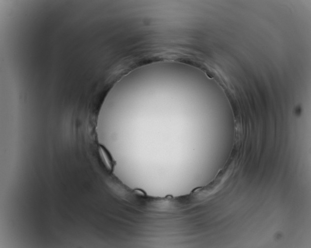 X0000103220237200808280933