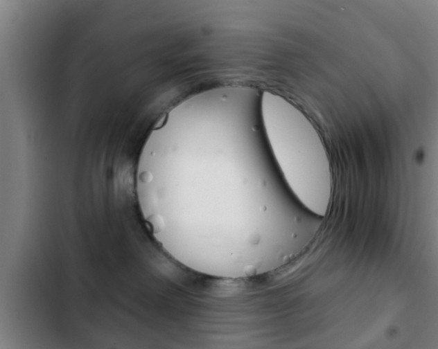 X0000103220238200808280933