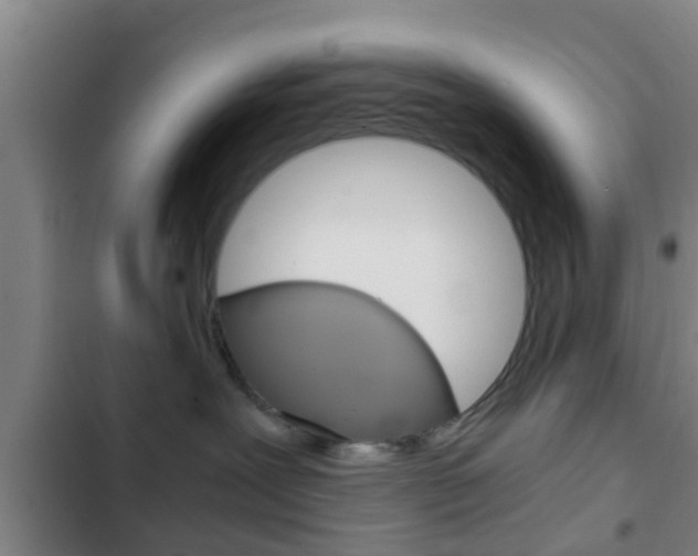 X0000103220239200808280933
