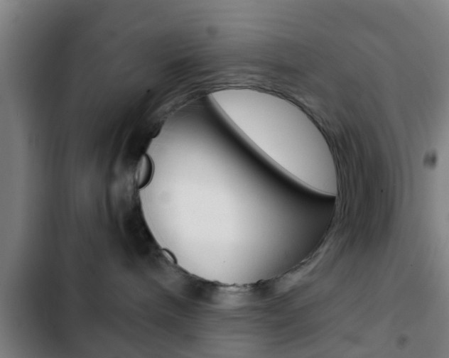 X0000103220240200808280933
