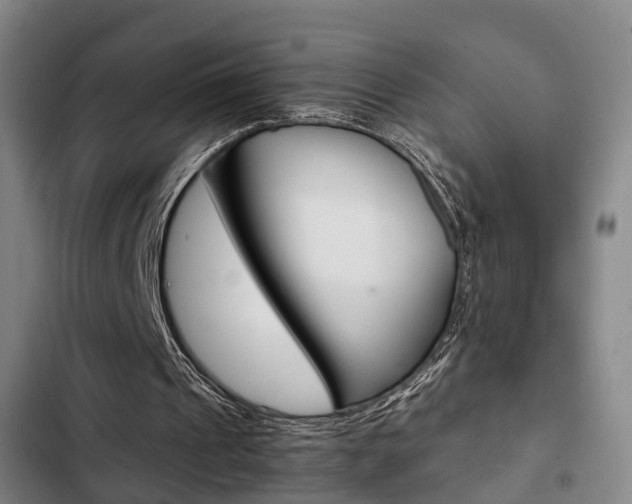 X0000103220241200808280932