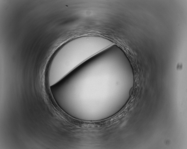 X0000103220242200808280933