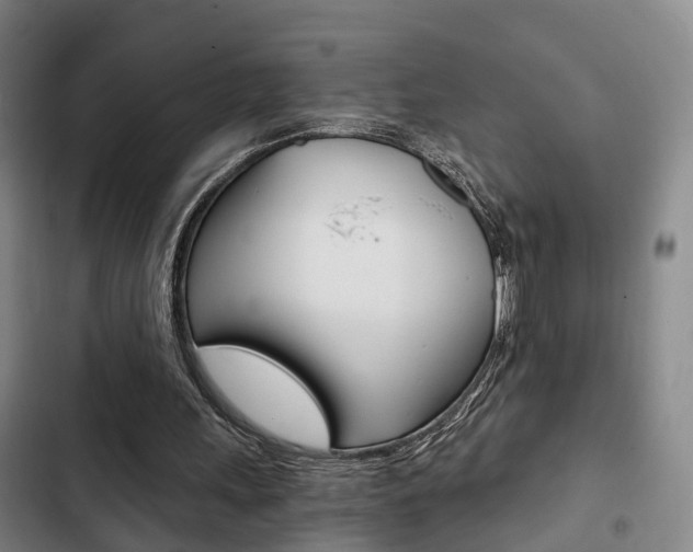 X0000103220243200808280933