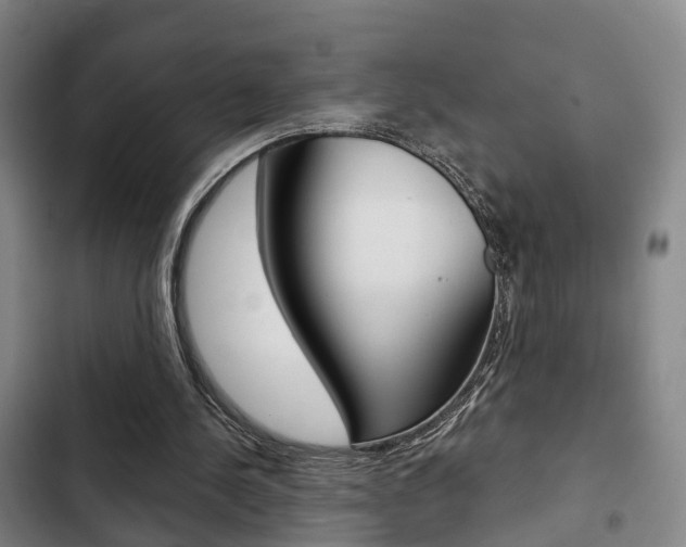 X0000103220244200808280933
